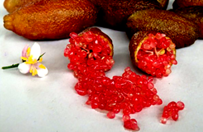 Finger Lime Ricks Red - Caviale di Limone