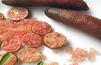 Finger Lime Pink Ice - Caviale di Limone