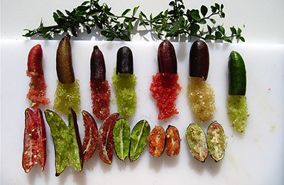 Finger Lime varietà