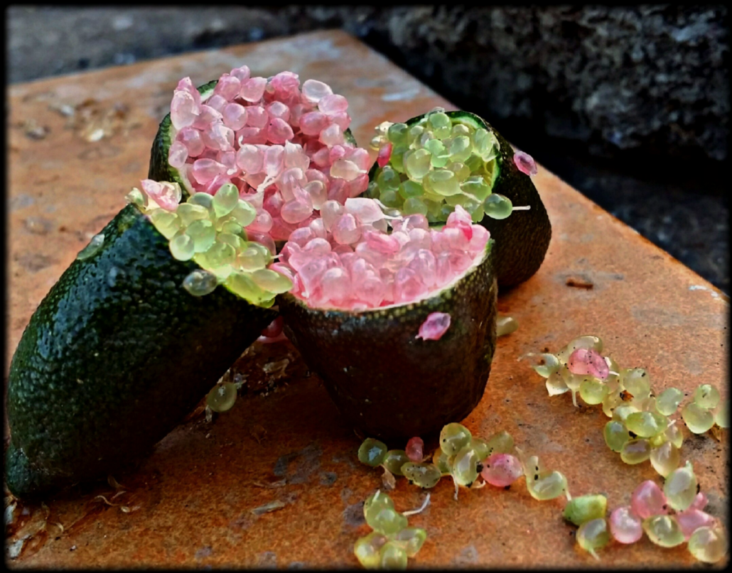 finger-lime-verde-rosa